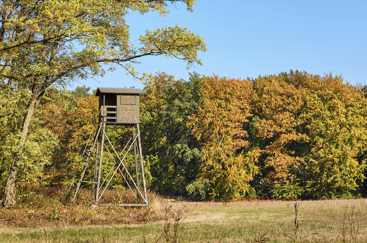 Michigan Hunting Accident Lawyers