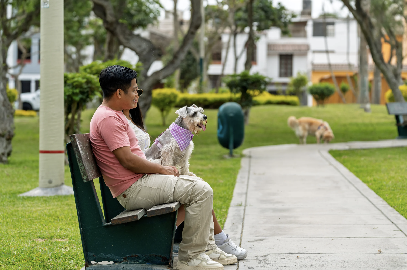 How You Can Prevent Your Dog from Biting 